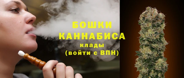 кокс Арсеньев