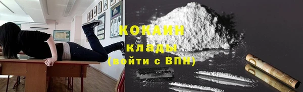 кокс Арсеньев