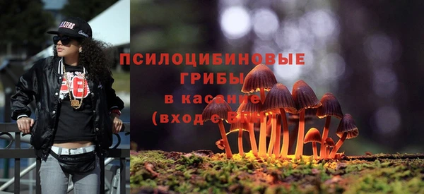 кокс Арсеньев