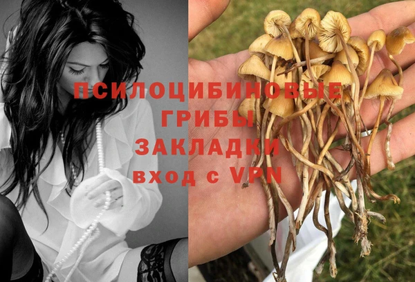 кокс Арсеньев